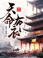 我本布衣