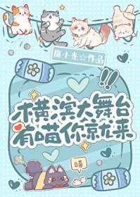 [综漫] 横滨大舞台，有喵你就来