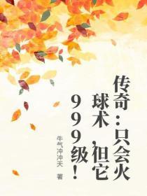 传奇:只会火球术,但它999级!